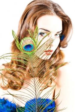 Paon bleu - 75-90  cm - naturel